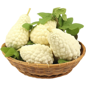 1e7fc404e4ba3a1ef53a9cd88aee3e1c