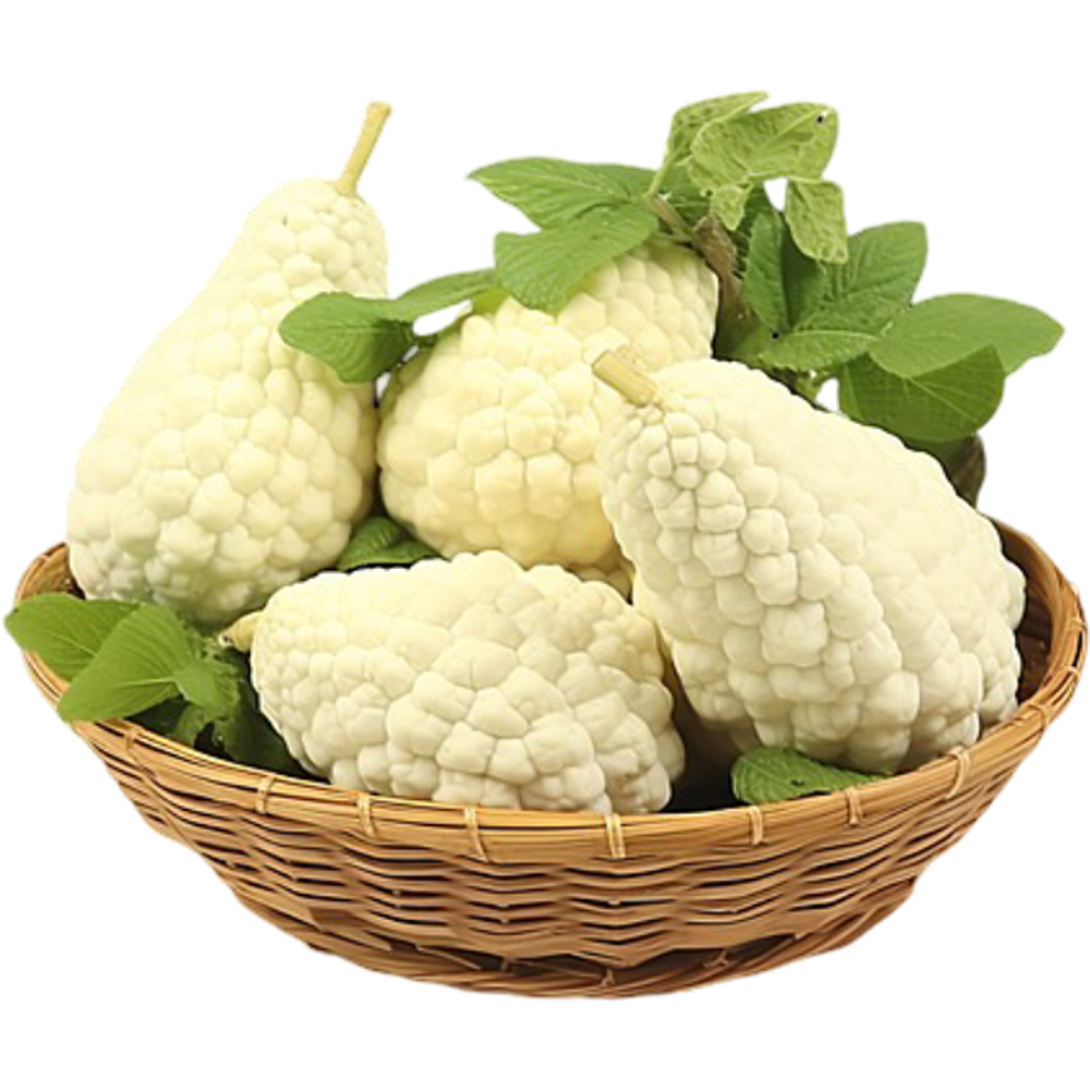 1e7fc404e4ba3a1ef53a9cd88aee3e1c